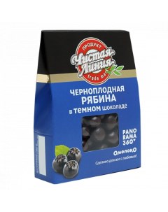 Драже Черноплодная рябина в темном шоколаде 100 г Чистая линия