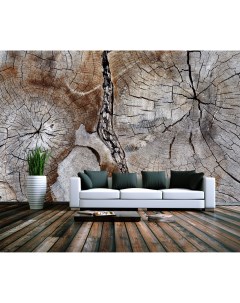 Фотообои NATURE Текстура старого дерева флизелиновые 400х250см Artdeluxe