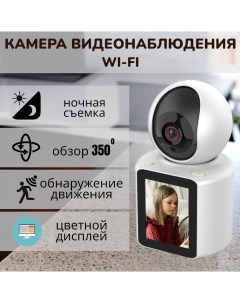 Камера видеонаблюдения с датчиком движения экраном и двухсторонней связью Prostore