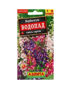 Семена цветов Вербаскум Водопад 0 1 г 4 шт Агрофирма аэлита