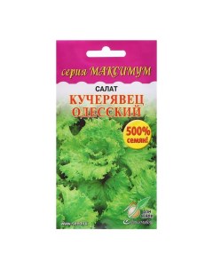 Семена Салат Кучерявец Одесский максимум 3600 шт Дом семян