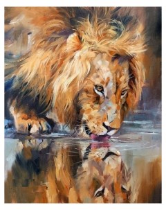Картина по номерам Лев у водопоя 40х50 см Colibri