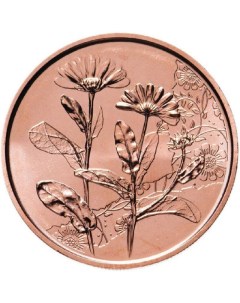 Монета 10 евро Бархатцы Язык цветов Австрия 2022 UNC Mon loisir