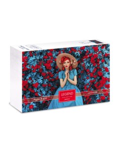 Пазлы Premium Девушка в голубом Постер 071309 500 элементов Hatber