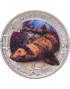 Монета 3 евро цветная Калифорнийская раздувающаяся акула Австрия 2023 UNC Mon loisir