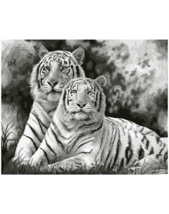 Картина по номерам Два тигра 40х50 см Molly