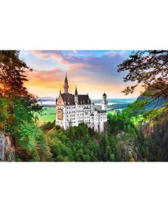 Картина по номерам Вид на замок в Баварии 30х40 см Рыжий кот