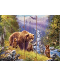Картина по номерам Медведи в горах 30х40 см Molly