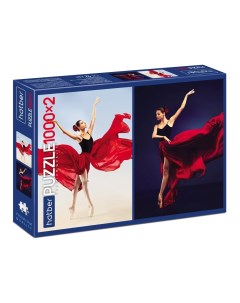 Пазлы Premium Про танцы 078339 1000 1000 деталей 2 картинки в 1 коробке Hatber