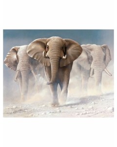 Картина по номерам Три слона 40х50 см Colibri