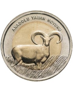 Монета 1 лира Азиатский муфлон Турция 2015 UNC Mon loisir