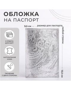 Обложка для паспорта цвет серебряный Nobrand