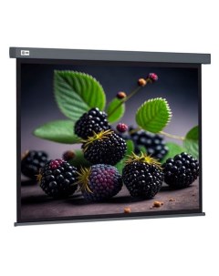 Экран Wallscreen CS PSW 127X127 SG 127х127 см 1 1 настенно потолочный серый Cactus