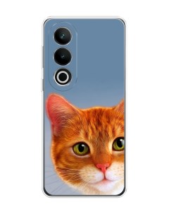 Чехол на OnePlus Nord CE4 Любопытный котик Case place