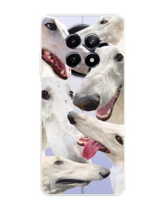 Чехол на Realme 12 5G Собака с длинным носом Homey