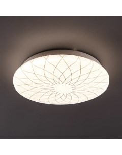 Светильник настенно потолочный светодиодный Fler C19LLS12W 6 м нейтральный Lumin arte