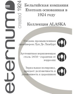 Набор ложек чайная Аляска сталь нерж L140 45 B4мм 2шт Eternum