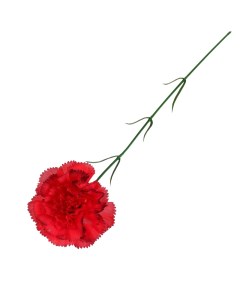 Искусственный цветок Гвоздика 1 131128 40 см Nobrand
