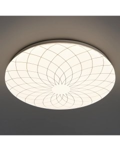Светильник настенно потолочный светодиодный Fler C19LLS36W 18 м нейтральный Lumin arte