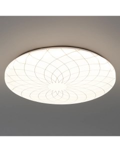 Светильник настенно потолочный светодиодный Fler C19LLS55W 30 м нейтральный Lumin arte