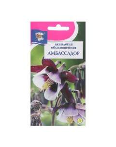 Семена цветов Аквилегия Амбассадор 0 05 г 3 шт Урожай удачи