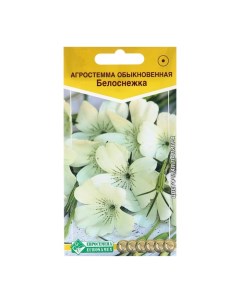 Семена цветов Агростемма обыкновенная Белоснежка 0 2 г 2 шт Евросемена