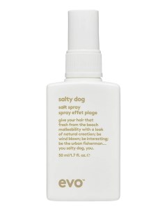 Текстурирующий спрей для укладки волос Salty Dog Salt Spray Спрей 50мл Evo
