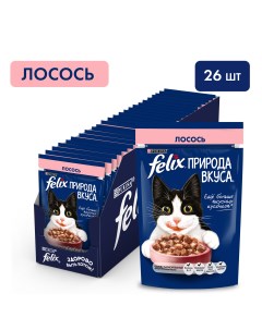 Природа вкуса пауч для кошек кусочки в соусе Лосось 75 г упаковка 26 шт Felix