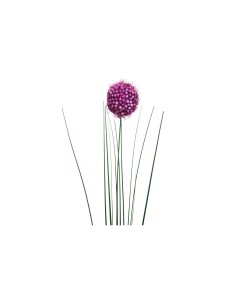 Искусственный цветок Алиум фиолетовый Garda decor