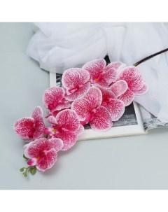 Цветы искусственные Орхидея Тигровая 90 см красно белый Poetry in flowers
