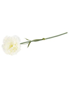 Искусственный цветок гвоздика белая Foxhol Swed house