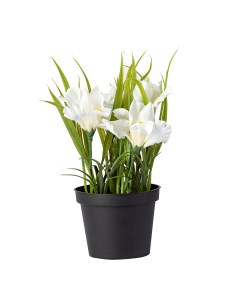 Декоративное искусственное растение Ирис 08850 белый Хит-декор