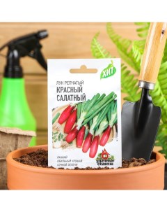 Семена Лук на зелень репчатый Красный салатный 0 5 г серия ХИТ х3 Гавриш