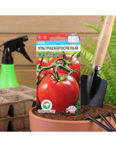 Семена томат Ультраскороспелый Р00007373 40 уп Сибирский сад