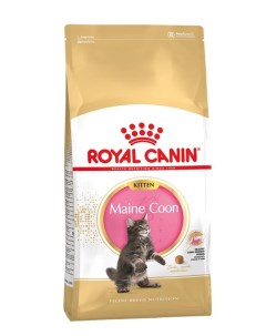 Сухой корм для котят Kitten Maine Coon для крупных пород 10 кг Royal canin