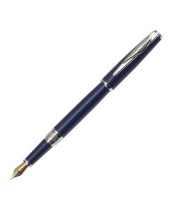 Перьевая ручка Secret Business Blue M Pierre cardin