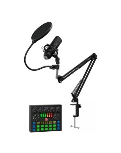 Микрофон SM 600G 2 5m Oklick