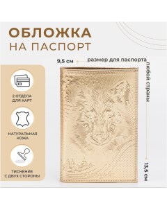 Обложка для паспорта цвет золотой Nobrand