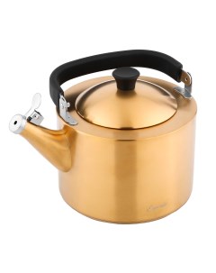 Чайник наплитный со свистком Magnifico 2 5л матовый золотой Esprado