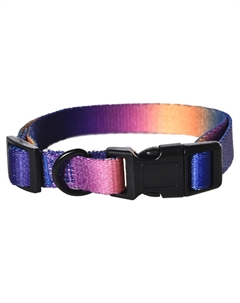 Ошейник для собак Sunset S 1,5х30-45см разноцветный Foxie