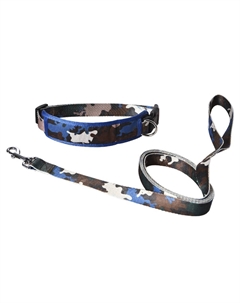 Ошейник и поводок для собак Strong M разноцветные Foxie