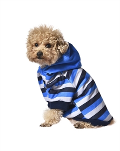 Толстовка для собак Summer evening M (длина спины 35см, обхват груди 52-58см) голубая Foxie