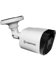 Уличная цилиндрическая видеокамера Tantos
