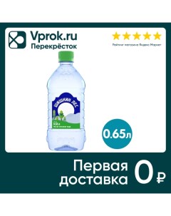 Вода питьевая негазированная 0 65л Шишкин лес
