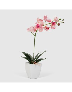Искусственная орхидея в кашпо 60 см Конэко-о
