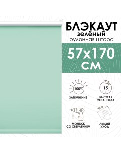 Рулонные шторы Lux блэкаут 57х170 см зеленый Эскар