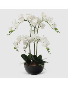 Искусственная орхидея в кашпо 70 см Конэко-о