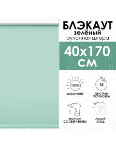 Рулонные шторы Lux блэкаут 40х170 см зеленый Эскар