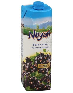 Черная смородина виноград нектар premium 1 л Noyan