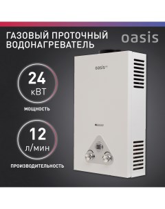 Газовый проточный водонагреватель Eco W 24 Oasis